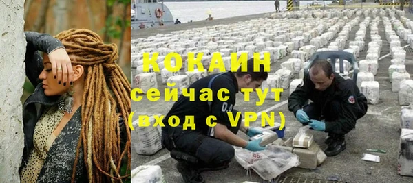 дживик Верхний Тагил