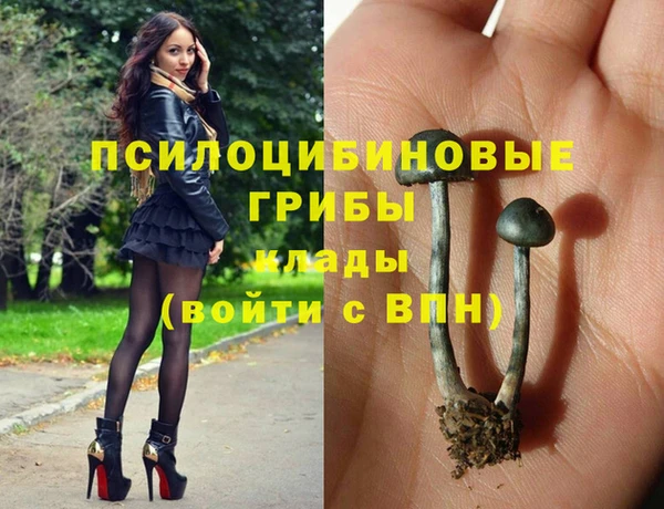 а пвп мука Верея