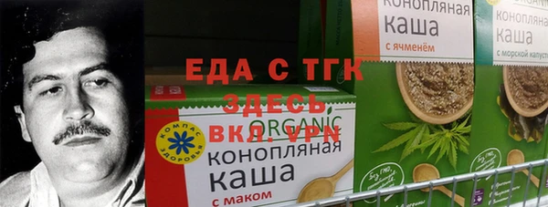 дживик Верхний Тагил