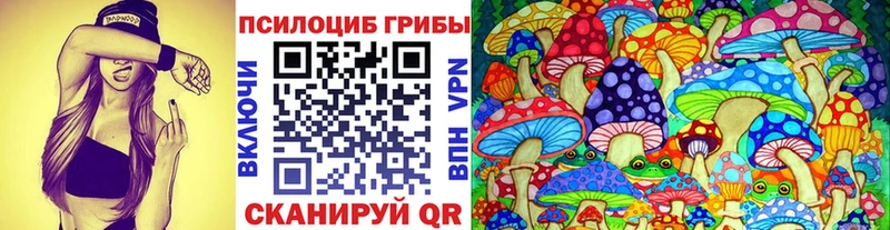 Купить  Скопин  Галлюциногенные грибы Psilocybe 